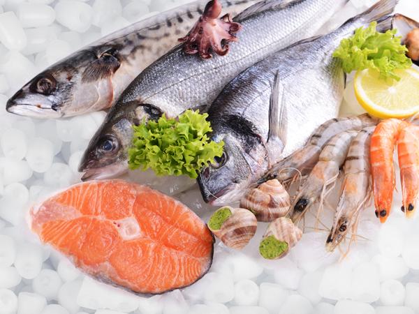 Crownful Ice Maker Countertop, Portable Small Ice Machine with Self-Cleaning, 26lbs/24H, 9 Cubes in 6 Mins, with Scoop and Basket for Home