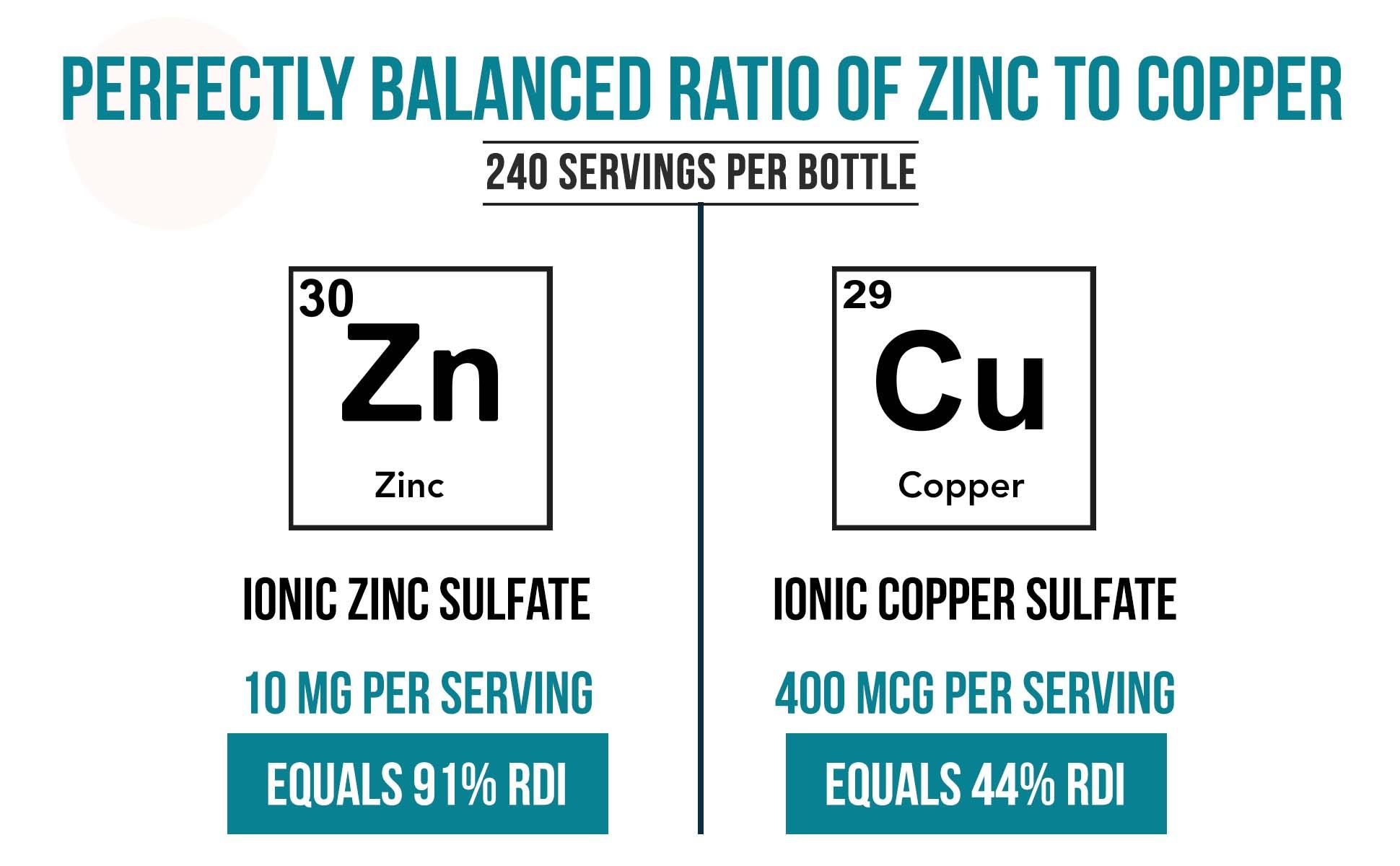 Ionic Zinc Plus Copper Liquid Concentrate | 240 Servings – Vegan, Supports Immunity, Brain & Thyroid – 2 oz. Supplement Essential