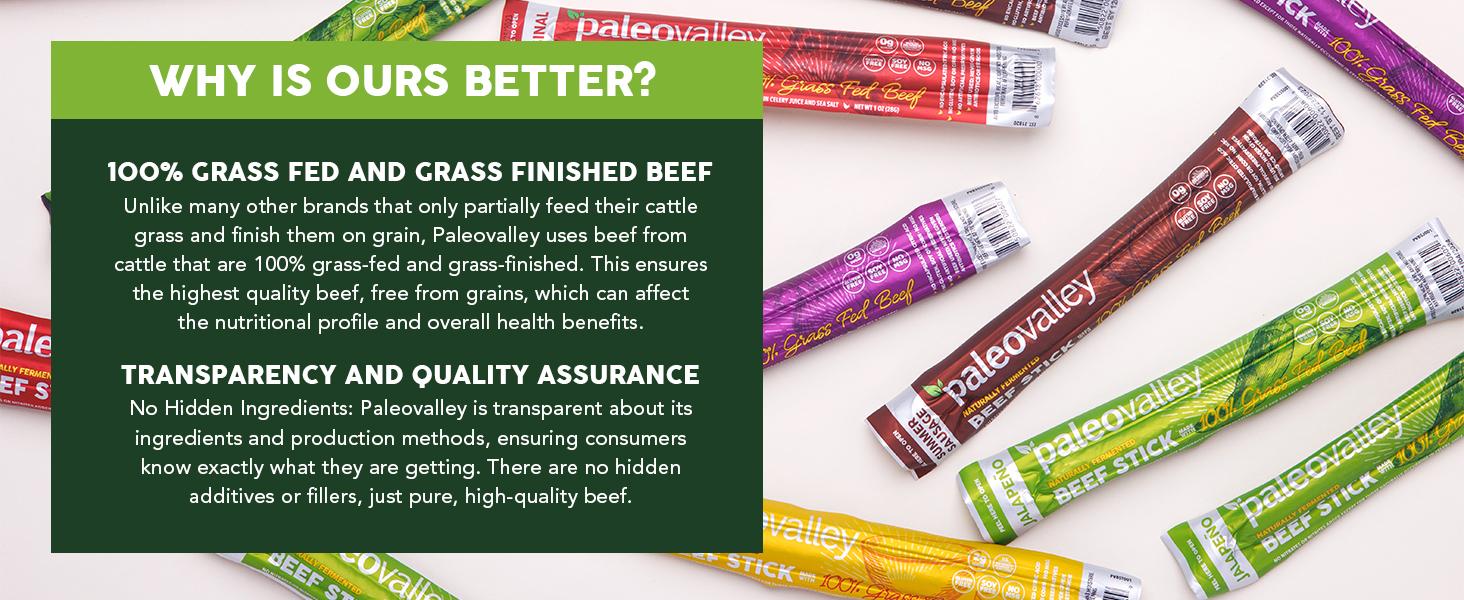 Paleovalley 100% Grass Fed Beef Sticks - High Protein Gut Friendly Gluten Free 10 Count Beef Jerky Snack, Variety of Flavors