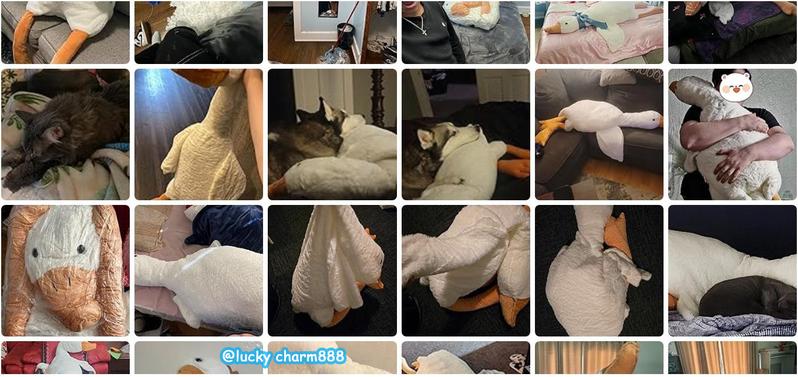 Cute Big White Goose Plush Pillow Toy! Large and irresistibly huggable, it's a favorite for both kids and adults. Suitable for all beds, offering coziness whether you cuddle or clamp it. A practical and sweet sleep companion.