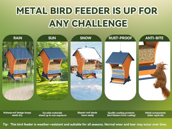 Squirrel-Proof Bird Feeder Wildpark petlovers – Bright Orange, Backyard Feeder for Cardinals & Chickadees, Durable & Easy to Hang, Perfect Spring Gift for Nature Lovers