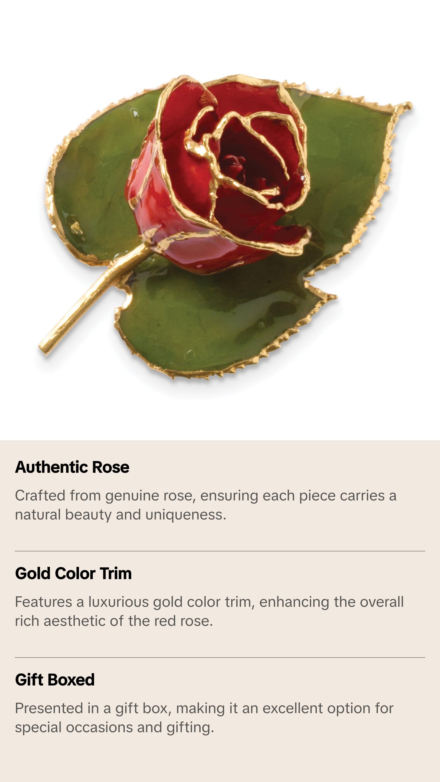 24k Gold-trim Lacquer Dipped Red Rose on Leaf Pin/Boutonniere