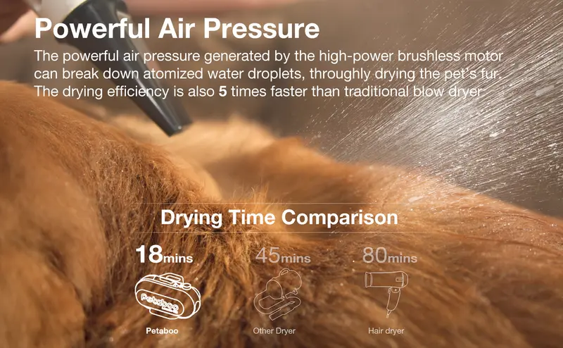 Petaboo Dog Dryer