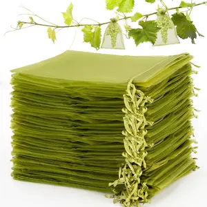 Sukh 50PCS Fruit Protection Bags - 6"X8" Fruit Cover for Fruit Tree Netting Fruit Nets to Protect Fruit Mesh Fruit Bags Organza Bags Green Net Bags for Fruits & Vegetables Reusable