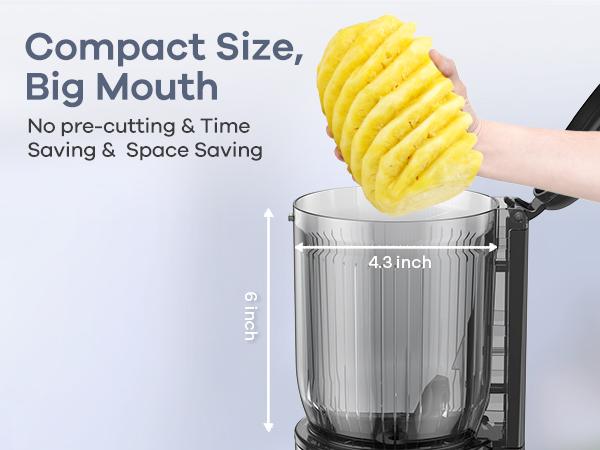 Syvio Juicer Machines Cold Press with 3 Detachable Filters 64 RPM Slow Masticating Technology Large Feed Chute Easy Clean BPA Free Silver