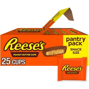 REESE'S Milk Chocolate Snack Size Peanut Butter Cups, Candy Pantry Pack, 13.75 oz (25 Pieces)