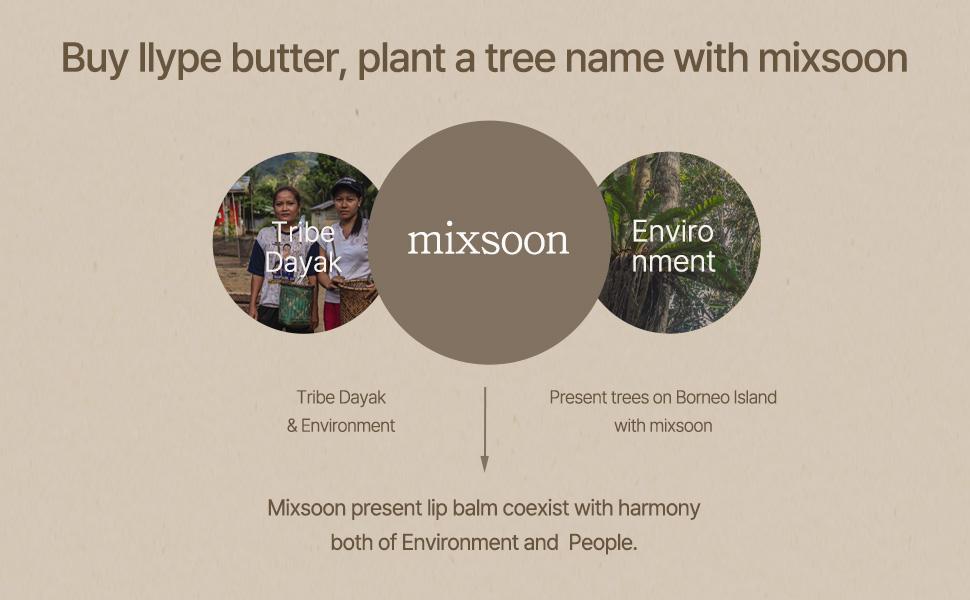 [mixsoon Official Shop] Vegan Melting Lip Balm (Dry Rose) 0.14 oz / 4.1g - Nourishing Lip Balm Stick for Dry Cracked Lips, Korean Skin Care