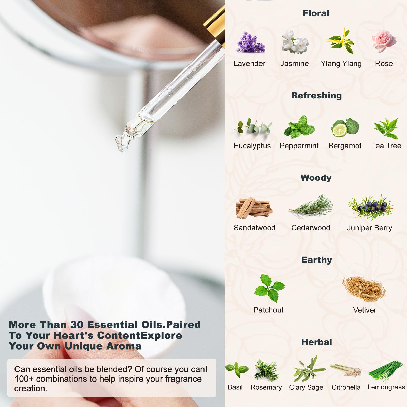 MAYJAM 35Pcs Essential Oil Gift Set for Diffuser, Aromatherapy Oils for Home Fragrance, Air Freshener, Humidifier, Perfume, Candle, Scent, Springtok MAYJAM 35Pcs Essential Oil Gift Set for Diffuser, Aromatherapy Oils for Home Fragrance, Air Freshener, Humidifier, Perfume, Candle, Scent, Springtok