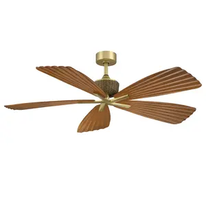 Parrot Uncle 56" Porter Soft Brass IP66 Outdoor Downrod Mount Ceiling Fan