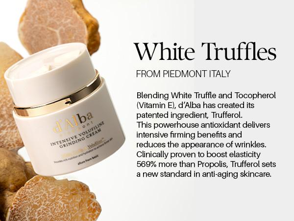 [OFFICIAL d'Alba] White Truffle Intensive Volufiline Grinding Cream - Skin Firming Vegan Collagen Cream & Moisturizer (1.58 fl oz) Hydrating Moisture