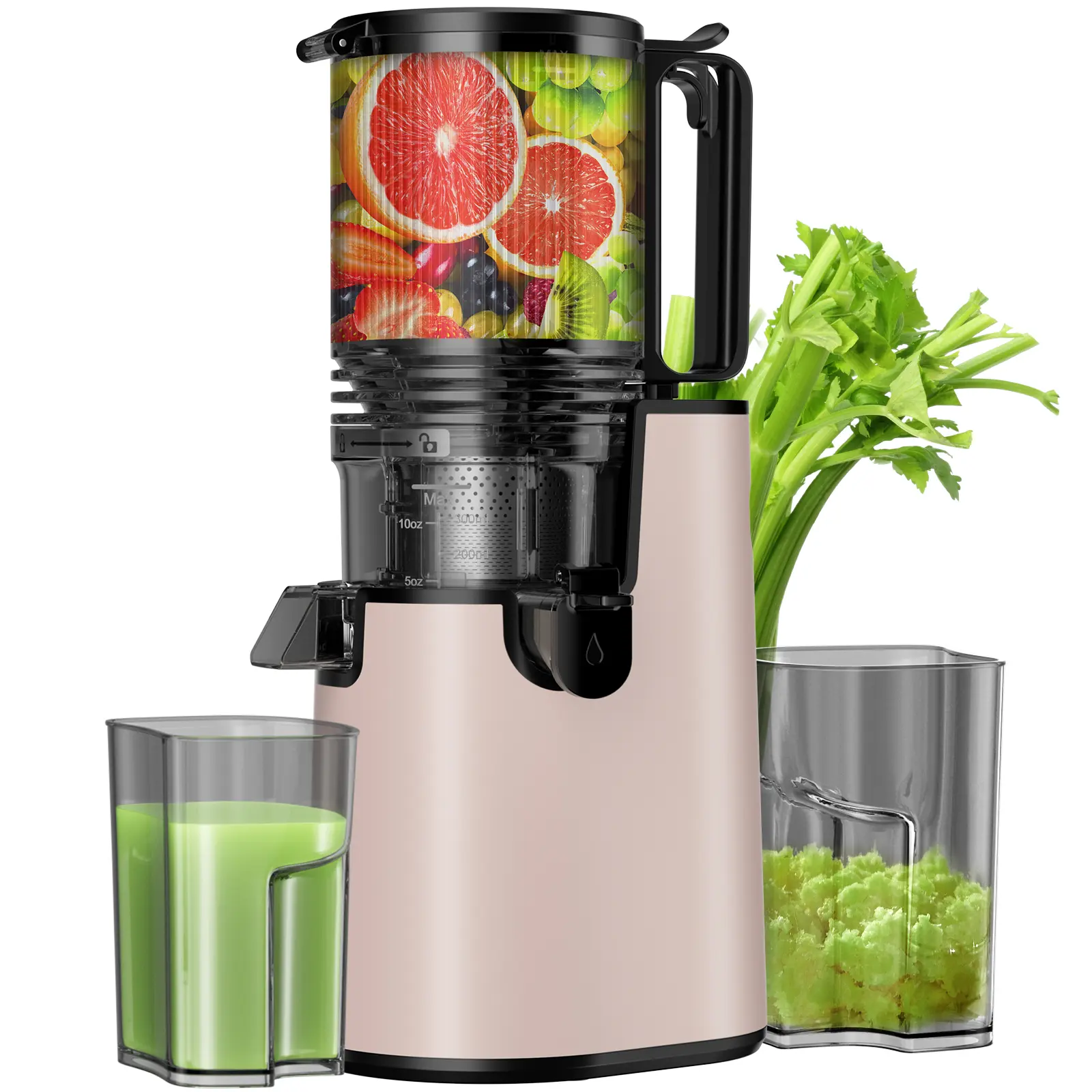 LQZ Cold Press Juicer-Slow Masticating Machines, 350W, 5.4" Feed Chute for Whole Fruits & Vegetables,High Juice Yield,Easy to Clean,sohochic