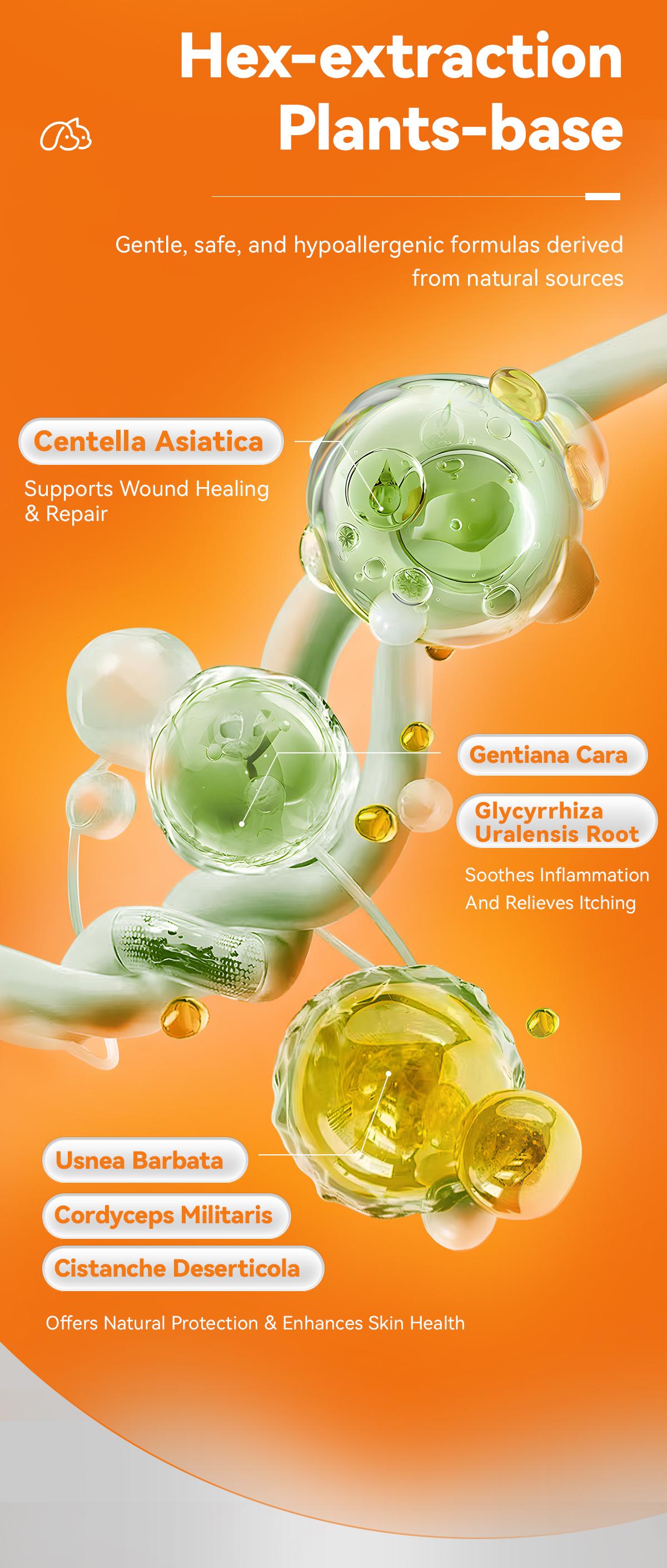 Itch Relief Spray for Dogs and Cats - PUAINTA Quantum Silver Hot Spot Care for Scratching and Redness, Natural Plant Based Formula for Allergies and Wounds, Vet Recommended Quality, Made in USA Itch Relief Spray for Dogs and Cats - PUAINTA Quantum Silver Hot Spot Care for Scratching and Redness, Natural Plant Based Formula for Allergies and Wounds, Vet Recommended Quality, Made in USA