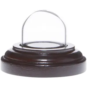 Plymor Miniature 1" x 1" Mini Glass Display Dome TINY Cloche