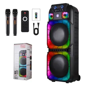 Dual 15 inch Karaoke Speaker System with 2 Microphone, Portable Party Box Speaker Wireless Bluetooth Stereo Rechargeable Remote Control LED Lighting