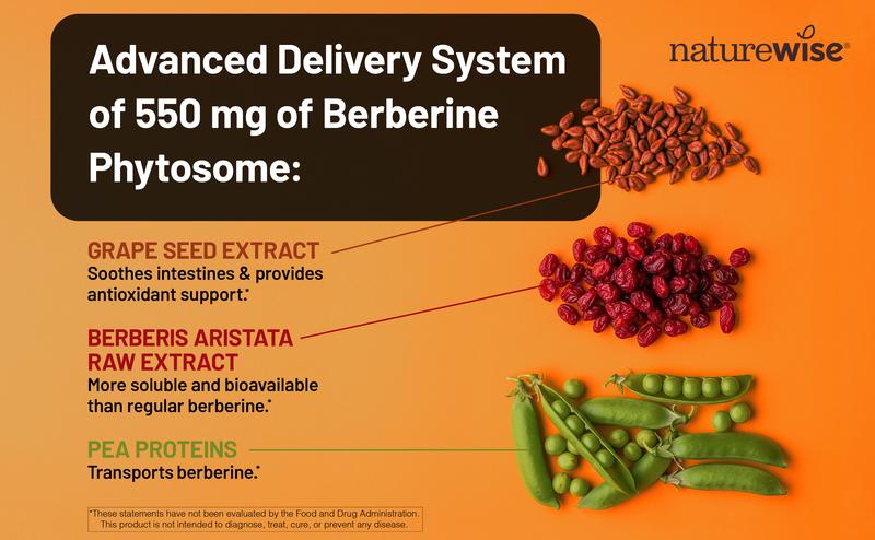 NatureWise Berberine 1000mg - Berberine Phytosome + HCI + Turmeric & Digestive Enzymes - Supports Healthy Blood Sugar + GI + Metabolism + Cholesterol - Non-GMO, USA Manufactured