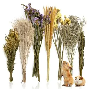 Sukh 47Pcs Natural Hamster Herb Bedding - Safe Cage Accessories & Hideout Enclosure and Habitat Decor for Syrian Dwarf Hamsters, Guinea Pigs, Gerbils and Small Pets