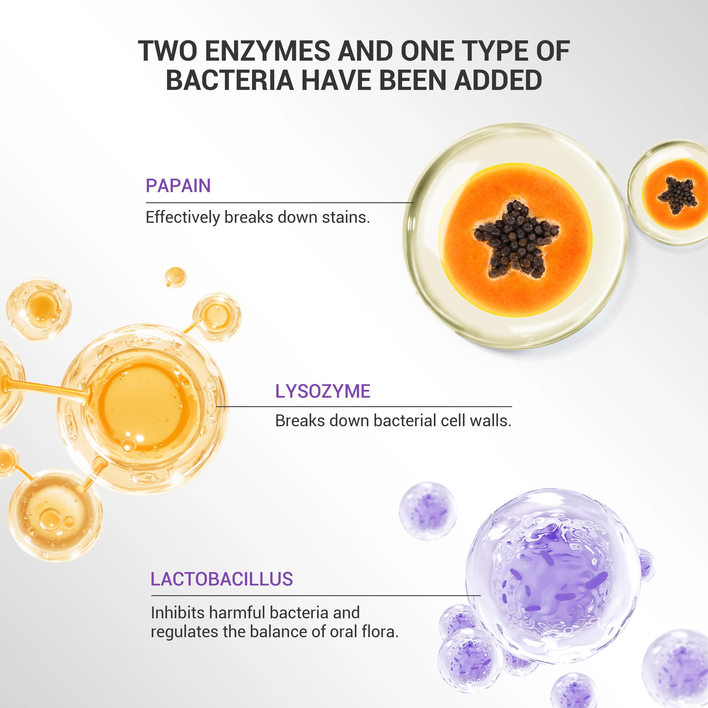 CEELIKE Grape Seed Toothpaste | Multi-Active Formula for a Fresh, Clean Brushing Experience and Daily Oral Care