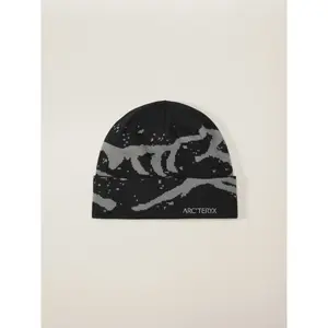Arc'teryx Grotto Toque