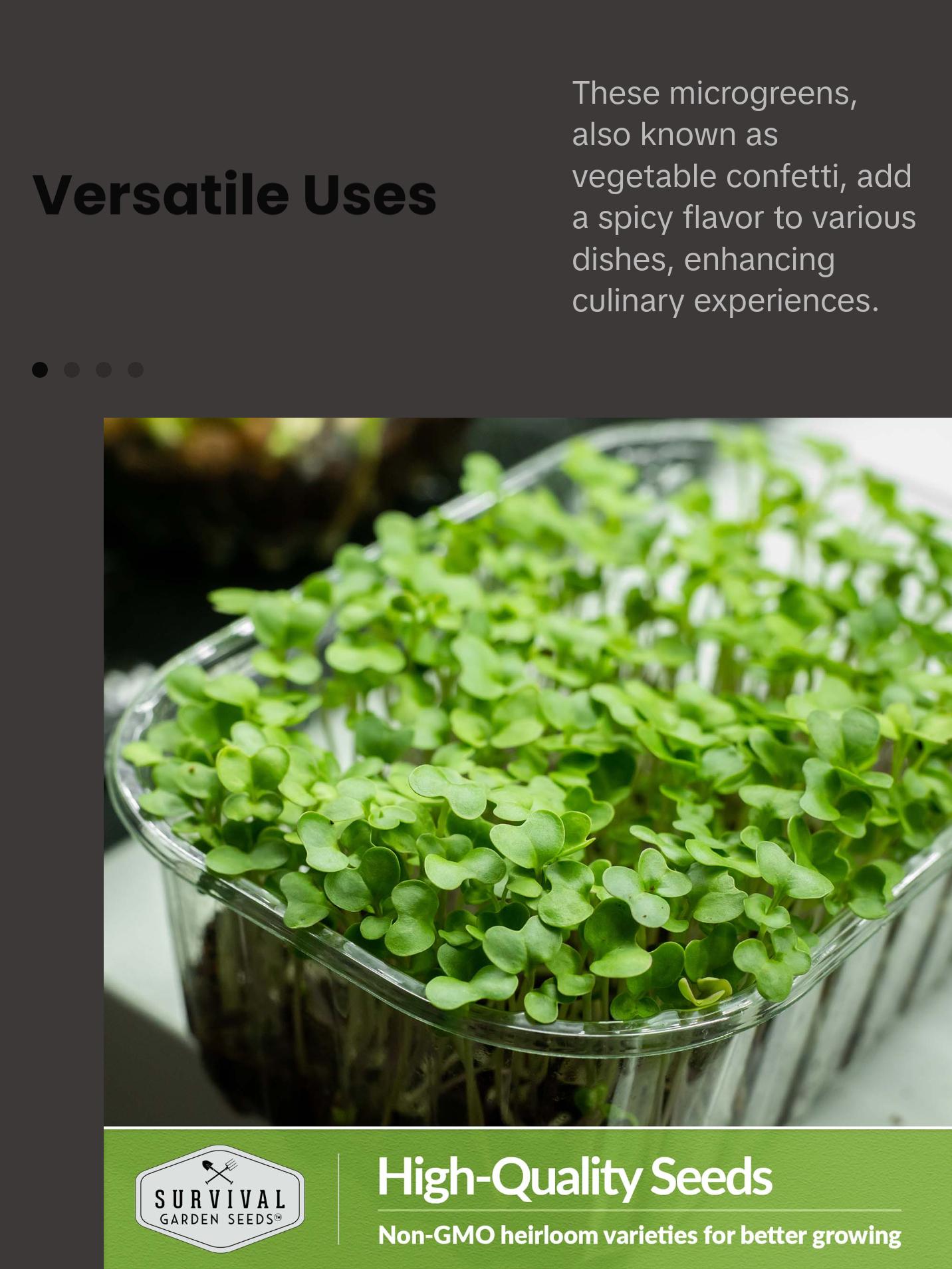 Broccoli Microgreens Seeds