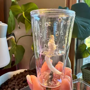 Self-Watering Alocasia Corm and Pup Cup with Dome