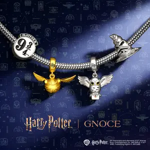 Gnoce Harry Potter 925 Pendant Charm - Official Warner Bros. Jewelry Cubic Zirconia Luna Ron Enamel