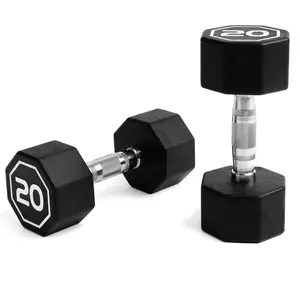 IR3920 Premium Octagonal Dumbbell, Large Numbers, Hard Chrome Plated Handle Dumbbells to Assist with Push-Ups, 20 lbs set of 2