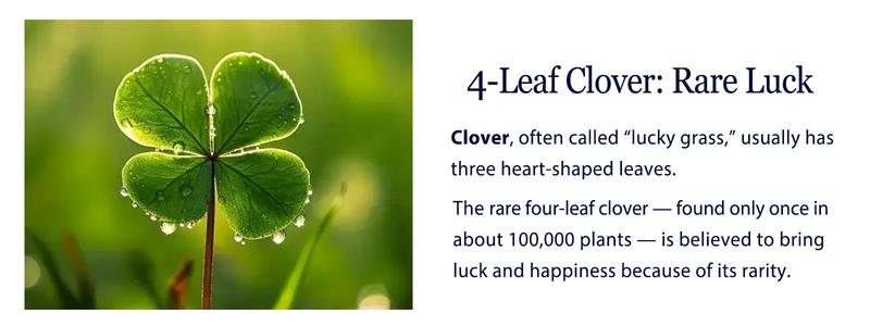 Turandoss Lucky 4-Leaf Clover Stud Earrings, 14K Gold Plated S925 CZ | Valentine’s Gift