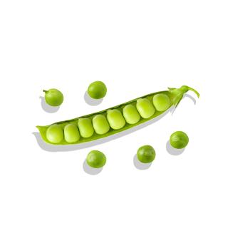 ALOHA Chocolate Protein Powder - 15 Servings - Certified USDA Organic - 100% Plant-Based - 18g Of Protein