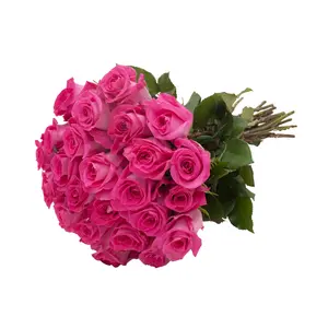 24 Farm Fresh Hot Pink Roses