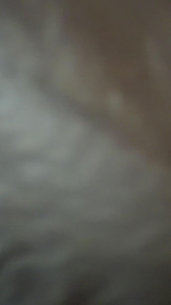 Item: 50 Count (Pack of 1)