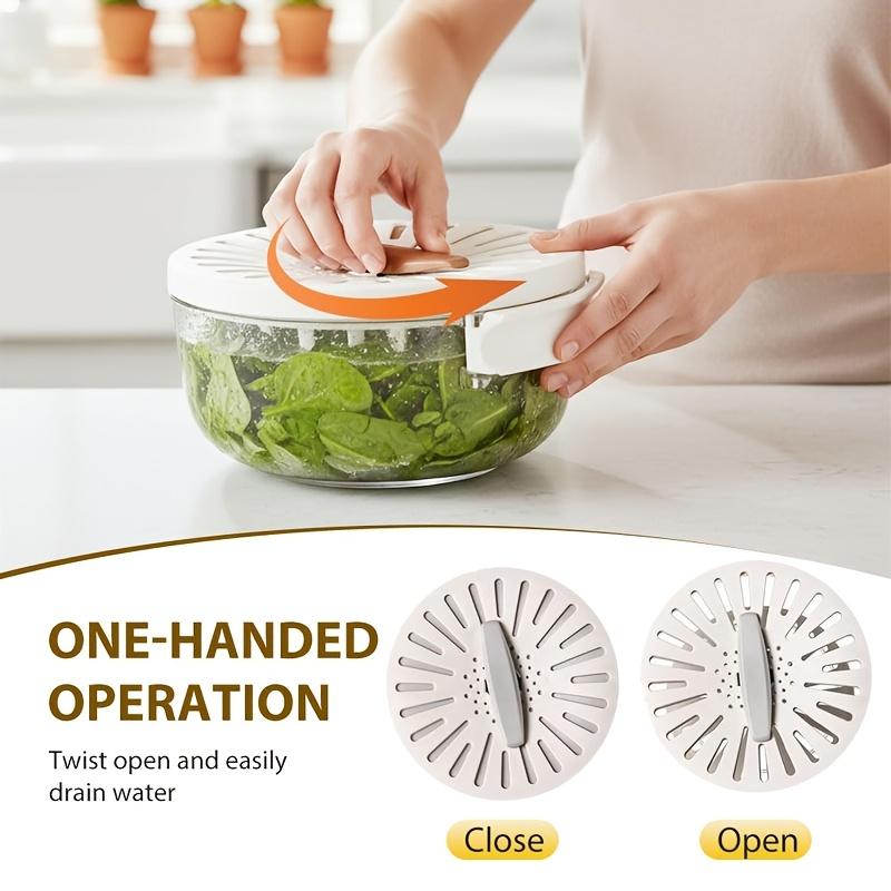 Drain Basket Keeper Container Practical Fruit Colander Foldable Handle Food Storage Container Removable Basket for Strawberry, White