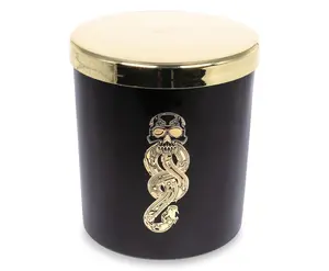 Harry Potter Dark Arts Premium Scented Soy Wax Candle