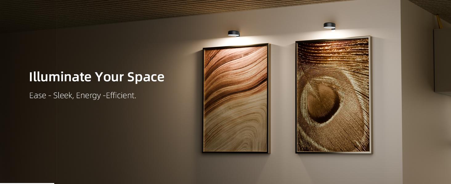 EZVALO Picture Lights for Wall,14 Color(3 Color Temps&12 RGB),2000mAh Rechargeable Battery Magnetic Poster Lights with 2 Color Temps&12 RGB,Remote Dimmable Timer Painting Light,Wall Decor Light for Art Display,Frame