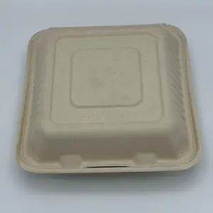 Biodegradable 9”x9” Food Container Made of Sugarcane Pulp 200pcs