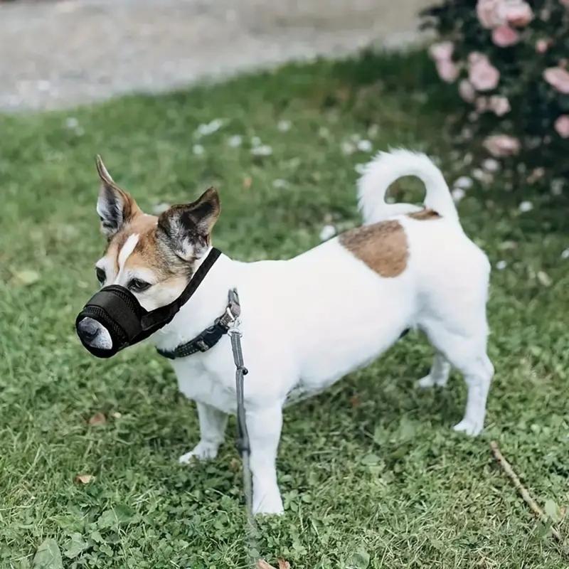 Dog Anti-Bite Anti-Bark Muzzle - Breathable, Allows Drinking Water, Safe Comfortable No-Eat For Training & Outdoor Use