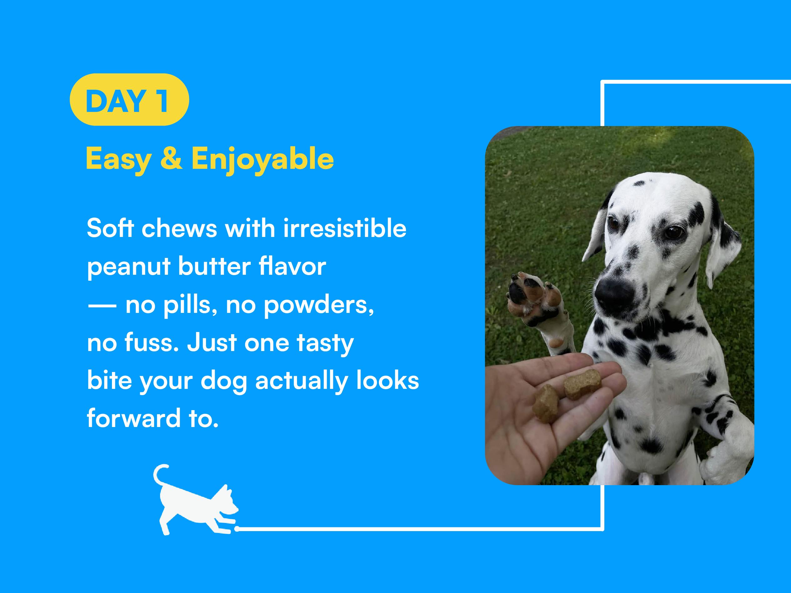 Boops Pets Longevity & Anti-Aging NAD+ Booster Soft Chews - 90 soft chews - Nicotinamide Riboside, Quercetin, Resveratrol - Made in the USA with Real Pasture-Raised Chicken and Real Wholefood Ingredients