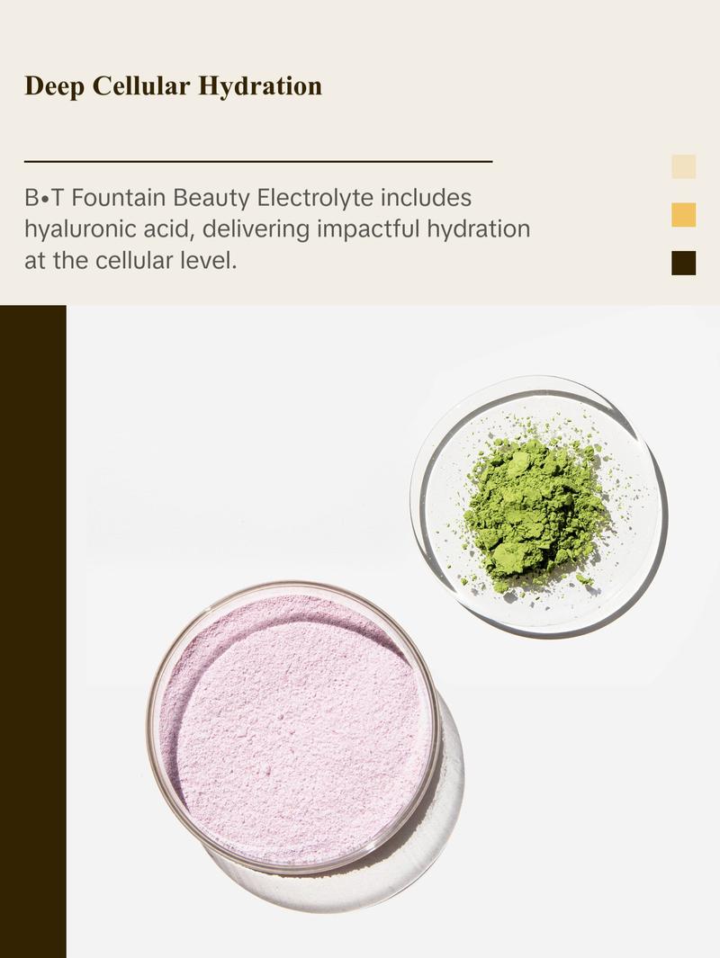 Pique Life Radiant Skin Duo Protocol - 28 Servings of B•T Fountain (1 carton) PLUS 28 Servings of Sun Goddess Matcha (1 carton)