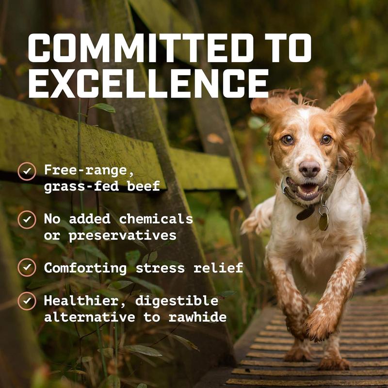 6-inch Bully Stick Bucket (1.5lbs.) Healthy, All-Natural, Long-Lasting Dog Chew Bones - Low Odor - Mixed Thickness - Lab-Tested, Hand-Inspected and Packed with Love in The USA