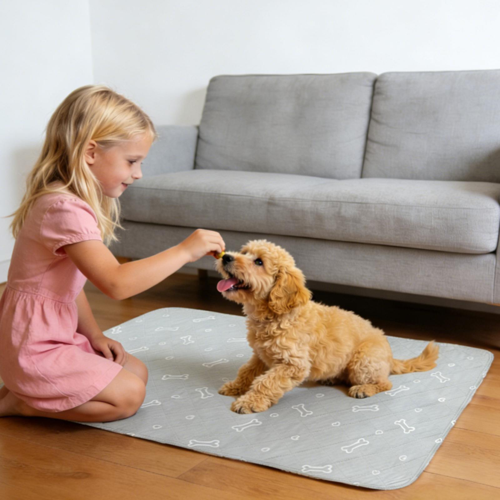 2PCs Washable Pee Pads for Dogs - Super Absorbent Waterproof Reusable Puppy Pads Training Mats with Anti-Slip Bottom for Potty, Crate, Kennel, Playpen, Bed & Sofa, Pet Supplies #TiktokShopSpringGlowUp