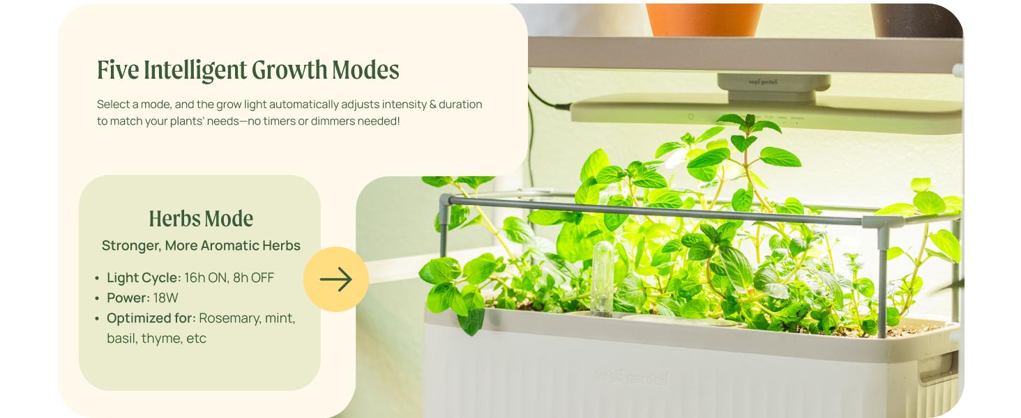 Vego Garden Full Spectrum LED Grow Light for Indoor Plants with 5 Modes for Seed Starting Leafy Herbs Fruits & Microgreens Modern Polycarbonate Greenhouse Home Use