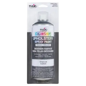 ColorShot Interior Charcoal