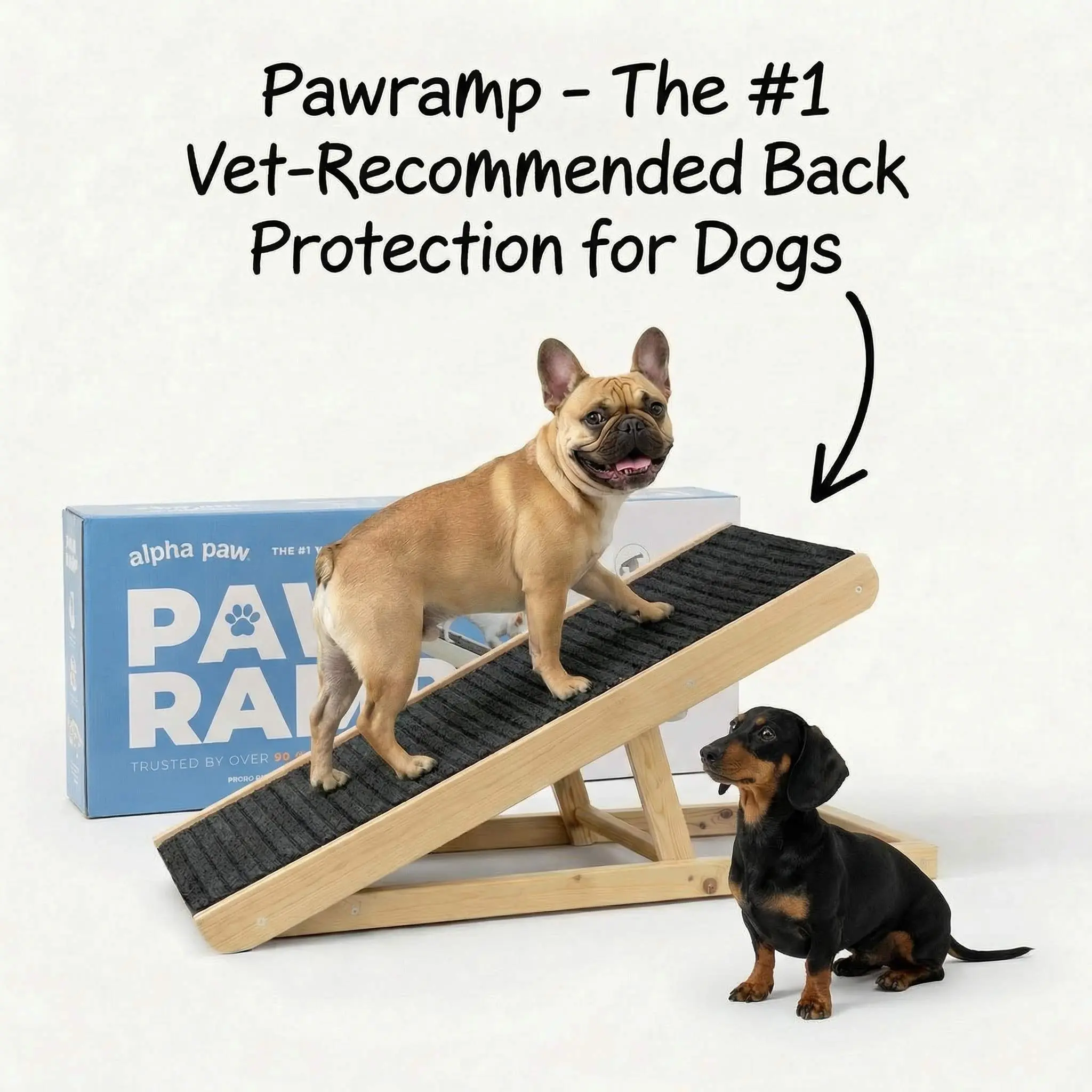 PawRamp – The #1 Vet-Recommended Way to Protect Your Dog’s Back & Joints PawRamp – The #1 Vet-Recommended Way to Protect Your Dog’s Back & Joints