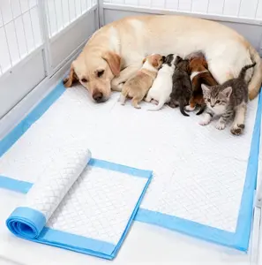 Upgraded XL 60x90cm Thickened Ultra-Absorbent Leak-Proof 6-Layer Puppy Pads, 20-Pack Super-Absorbent Pet Pads Large Disposable Training Pads for Puppies, Post-Surgery Cats, and Rabbits