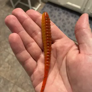 5in “J money” chatterbait trailer  “fire craw “ 6 in a bag