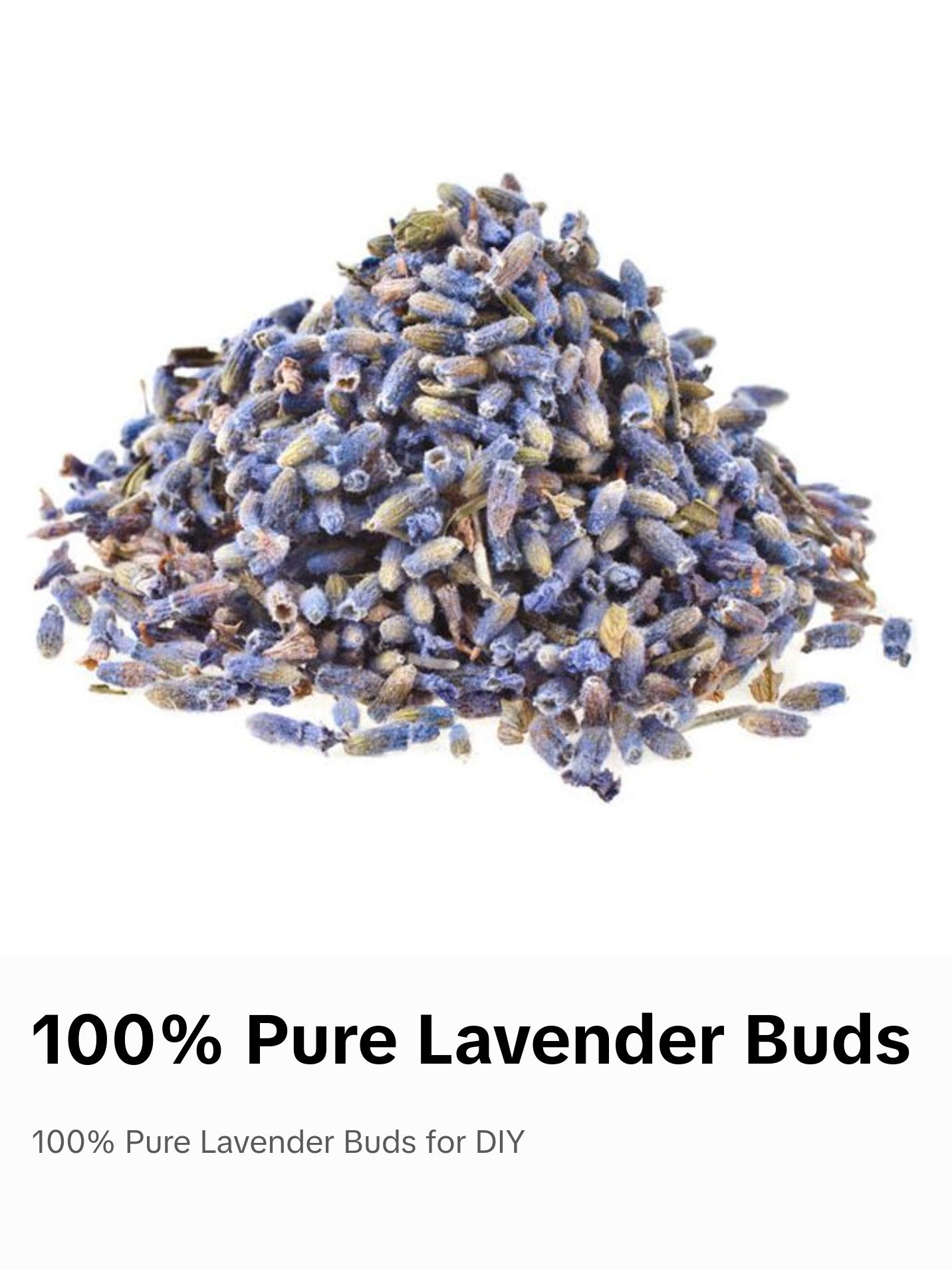 Lavender Flower Buds (Lavandula Angustifolia)