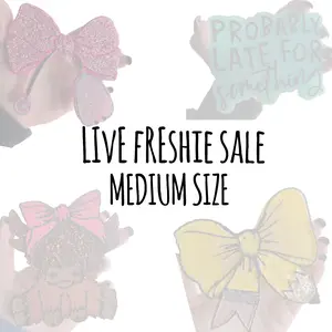 Medium Sized Car Freshie - LIVE ONLY