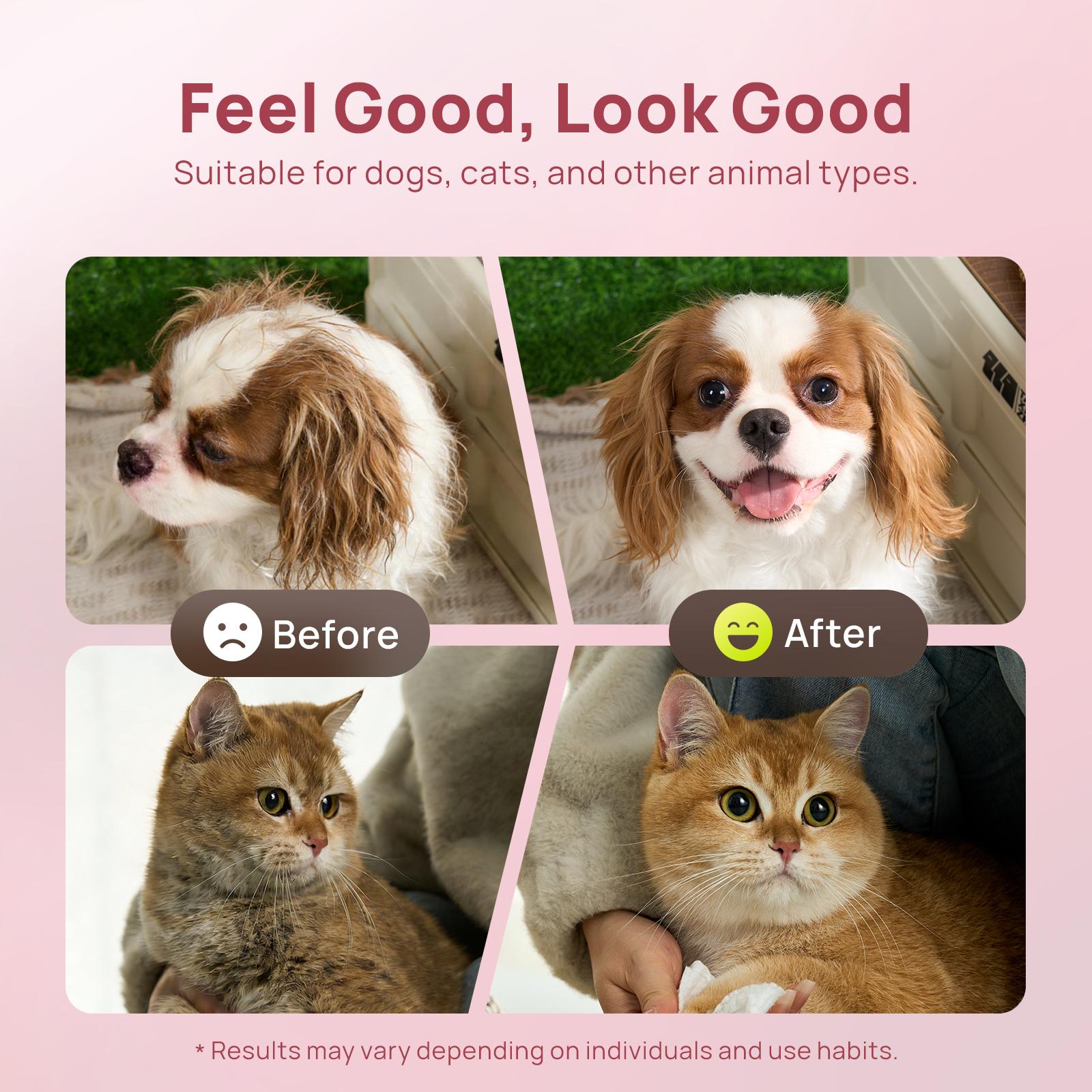 【SpringGlowUp】HICC PET Dog&Cat Moisturizing Wipes, Plant-Based Gentle Deodorizing Nourishes Fur Rose Scent, Biodegradable Sensitive Grooming for Family Pets - Paws 【SpringGlowUp】HICC PET Dog&Cat Moisturizing Wipes, Plant-Based Gentle Deodorizing Nourishes Fur Rose Scent, Biodegradable Sensitive Grooming for Family Pets - Paws