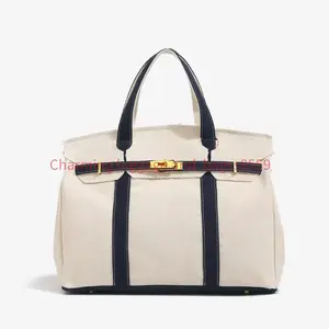 Canvas Platinum Bag for Women 2025 New High-End Niche Design Color-Block Handbag Large Capacity Commuter Versatile