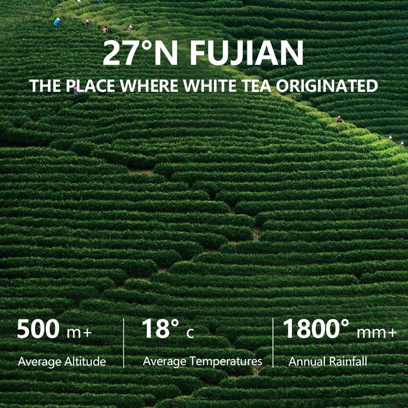 Forever 18 Tea Blue&Pink  (90g  3g×3packs×10 boxes)(red dates, wolfberry,Shoumei white tea)  (Shoumei white tea, black wolfberry, astragalus)