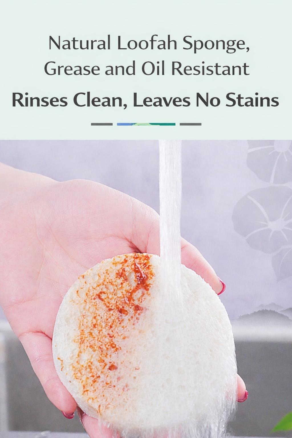 Floral Dish Sponge | Cute Kitchen Gadgets 2026 | Eco-Friendly Cellulose Scrubby | Multi-Use Cleaning Tool for Sneakers & Bathroom | High Absorbency Foam Sponge Flower Wood Wipe Floral Dish Sponge | Cute Kitchen Gadgets 2026 | Eco-Friendly Cellulose Scrubby | Multi-Use Cleaning Tool for Sneakers & Bathroom | High Absorbency Foam Sponge Flower Wood Wipe